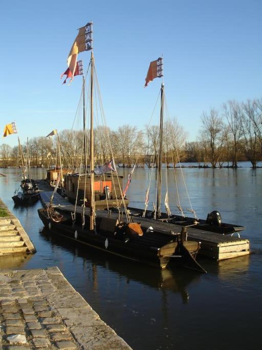 Appart Gite Les Oiseaux- Face Loire Quai Du Chatelet Orleans Exterior photo