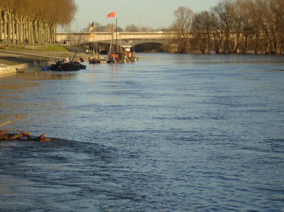 Appart Gite Les Oiseaux- Face Loire Quai Du Chatelet Orleans Exterior photo